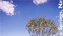 ■赤土の荒野を行く！ -オーストラリア・レッドセンター-　エアーズロック / アリス・スプリングス / キングス・キャニオン　…アウトバック