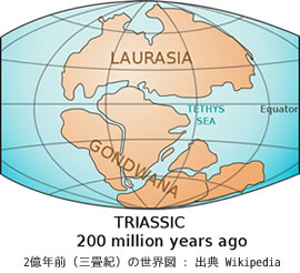 2億年前のゴンドワナ大陸