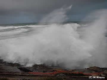 大荒れに荒れるシドニー郊外のビーチ