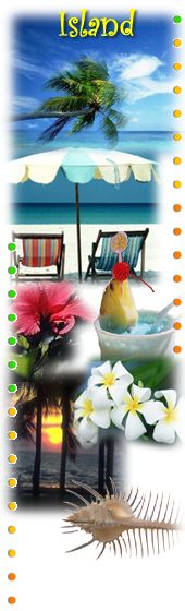 �A�C�����h�E�C���[�W