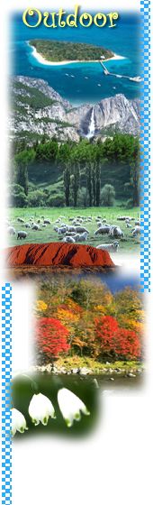 �A�E�g�h�A�E�C���[�W